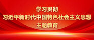 成人精品系列A片免费在线免费看学习贯彻习近平新时代中国特色社会主义思想主题教育_fororder_ad-371X160(2)